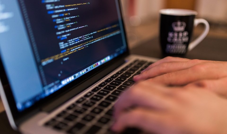 Программист болгум келет. Эмнеден баштасам?