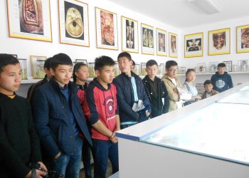 Классташтарымдай саркеч кийингим келет