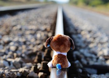 Эмнеге жаштар өлүмгө шашылат