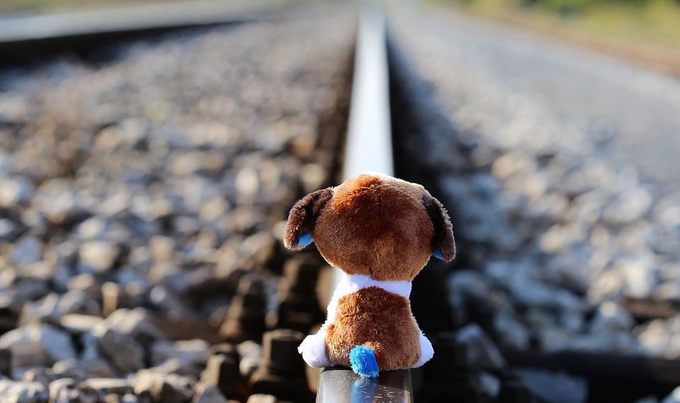 Эмнеге жаштар өлүмгө шашылат