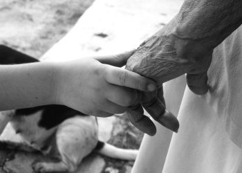 "Сөйкө" (Чыныгы окуяга негизделген)