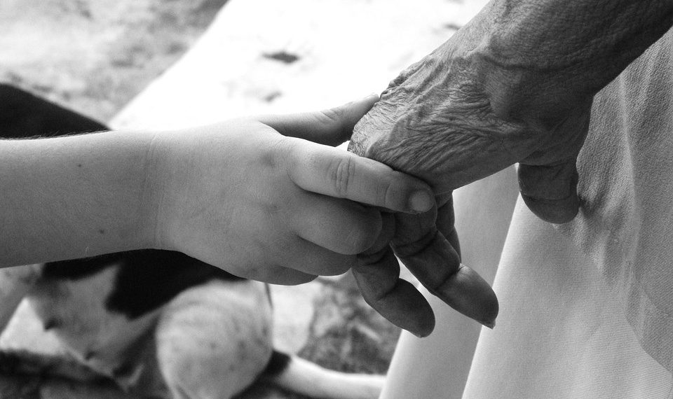 "Сөйкө" (Чыныгы окуяга негизделген)