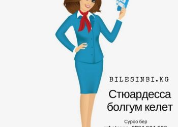 9-класстын базасы менен стюардесса боло аламбы?