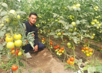 Үч жылга алган насыясын бир жылда төлөп бүткөн Нурсултандын ийгилик сыры