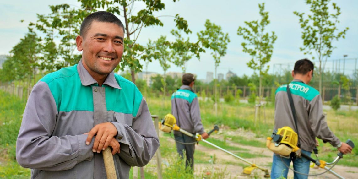 Жер тилкемдеги бактарды кыйганга укугум барбы? Агроном жооп берет