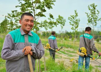 Жер тилкемдеги бактарды кыйганга укугум барбы? Агроном жооп берет