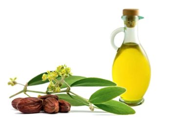 Жожоба майы көздүн айланасындагы бырыштарды жок кылабы? Косметолог жооп берет