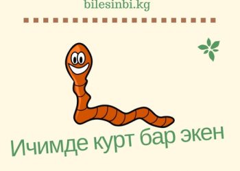 Ичимде курт бар экен