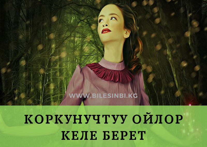 Коркунучтуу ойлор келе берет