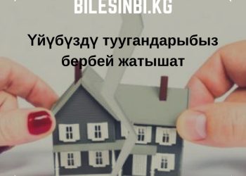 Үйүбүздү туугандарыбыз бербей жатышат