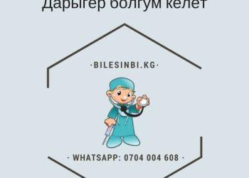 Дарыгер болгум келет