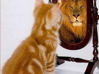 Өзүбүзгө болгон бааны көтөрөбүз