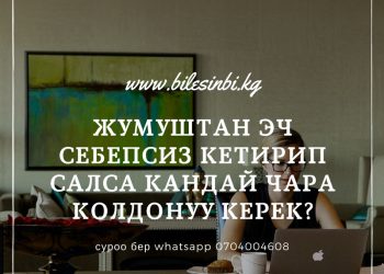 Себеби жок иштен кетирсе эмне кылсам болот?