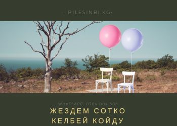 Жездем алимент төлөбөй жатат