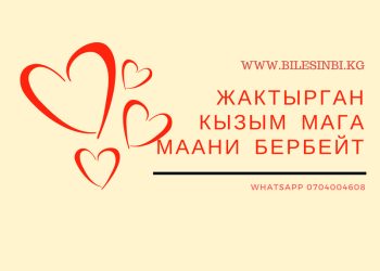 Жактырган кызым мага маани бербейт