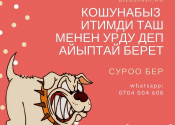 Кошунабыздын жосунсуз жоруктары