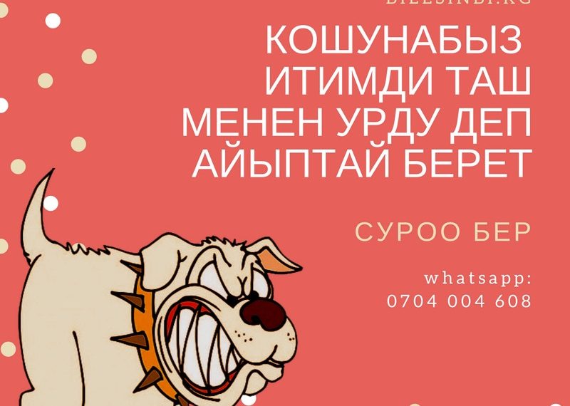 Кошунабыздын жосунсуз жоруктары