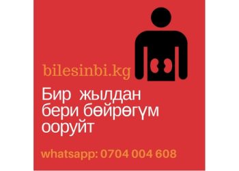 Бир жылдан бери бөйрөгүм ооруйт