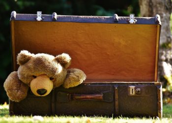 Таежем сабайт