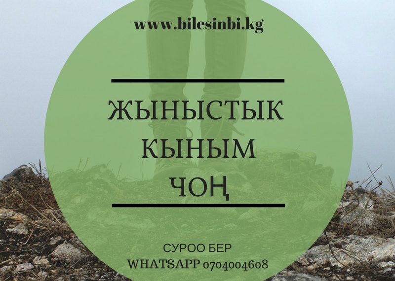 Жыныстык кыным чоң