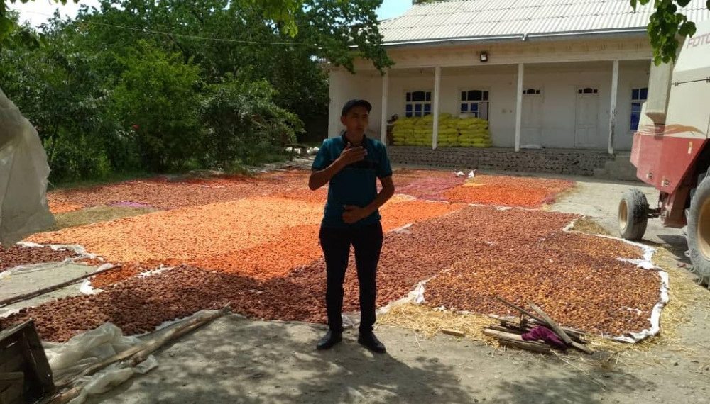 Күрүч өстүргөн Расул түшүмүн кантип көбөйткөнүн айтып берет