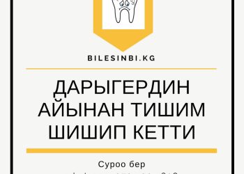 Дарыгердин айынан тишимен ажырадым