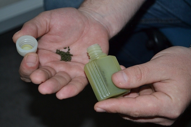 сүрөт интернеттен алынды