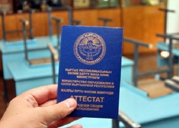 Университеттен документтеримди кантип алсам болот?