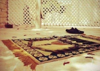 Жай намазды кантип бүктөйм?