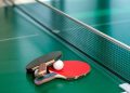 Бишкекте “настольный теннисти” акысыз үйрөткөн курстар барбы?