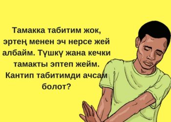 Кантип табитимди ачсам болот?