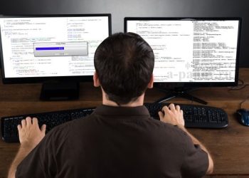 Программист болуу үчүн ЖРТдан кайсы сабакты тандаш керек?