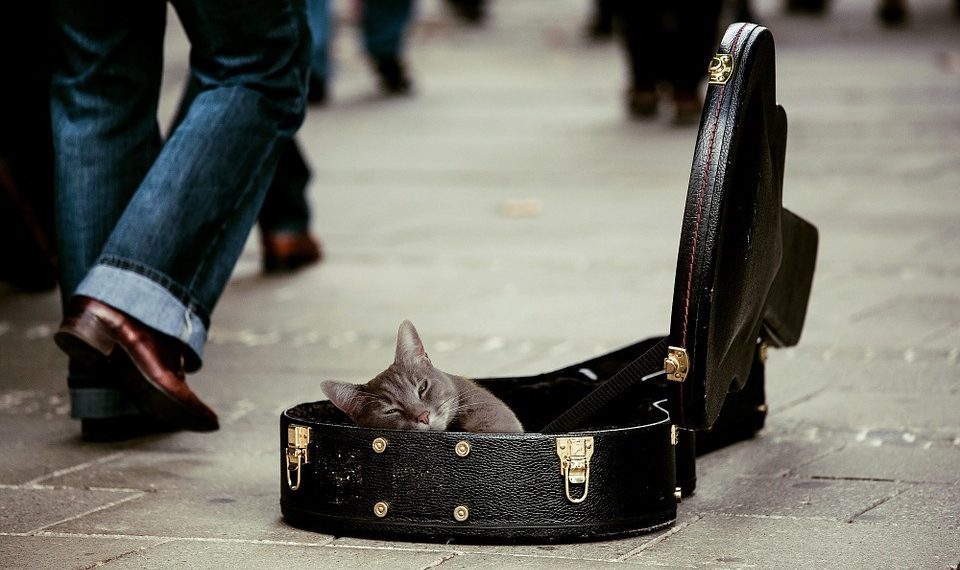 Жалкоолуктан кантип арылам?