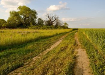 Мага тиешелүү жерди байкем талашып жатат. Эмне кылышым керек?