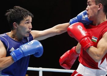 Кесипкөй боксер болуш үчүн эмне кылуу керек?