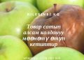 Товар сатып алсам мөөнөтү өтүп кетиптир