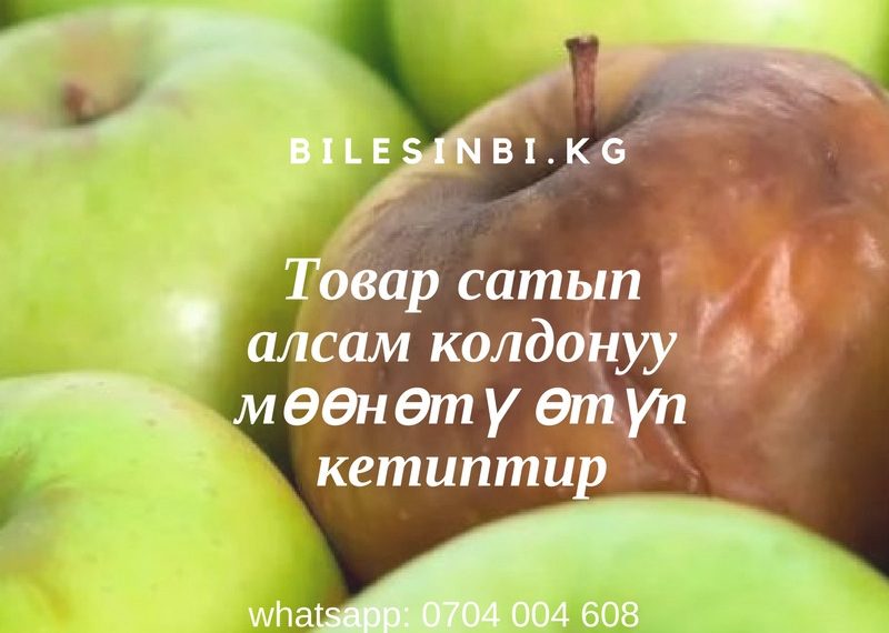 Товар сатып алсам мөөнөтү өтүп кетиптир