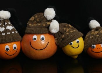 Темпераменттин 4 түрү