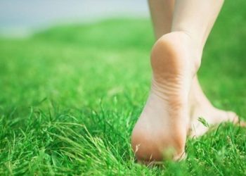 Таманым кесилип