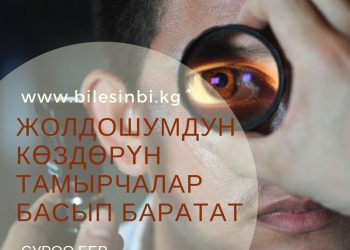 Жолдошумдун көздөрүн тамырчалар басып баратат