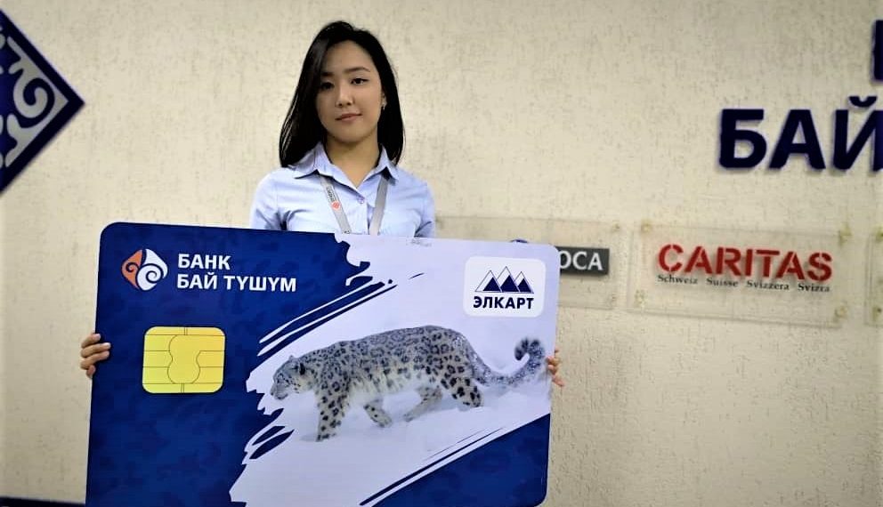 Төлөм карталарын колдонуунун кандай пайдасы бар? Адис айтып берет