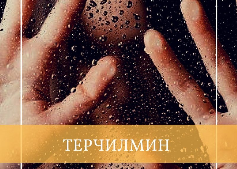 Терчилмин
