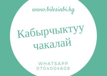 Кабырчыктуу чакалайдан кантип арылса болот?