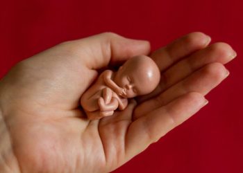 Бойдон түшкөндөн кийин сөзсүз алты ай күтүү зарылбы? Гинеколог жооп берет