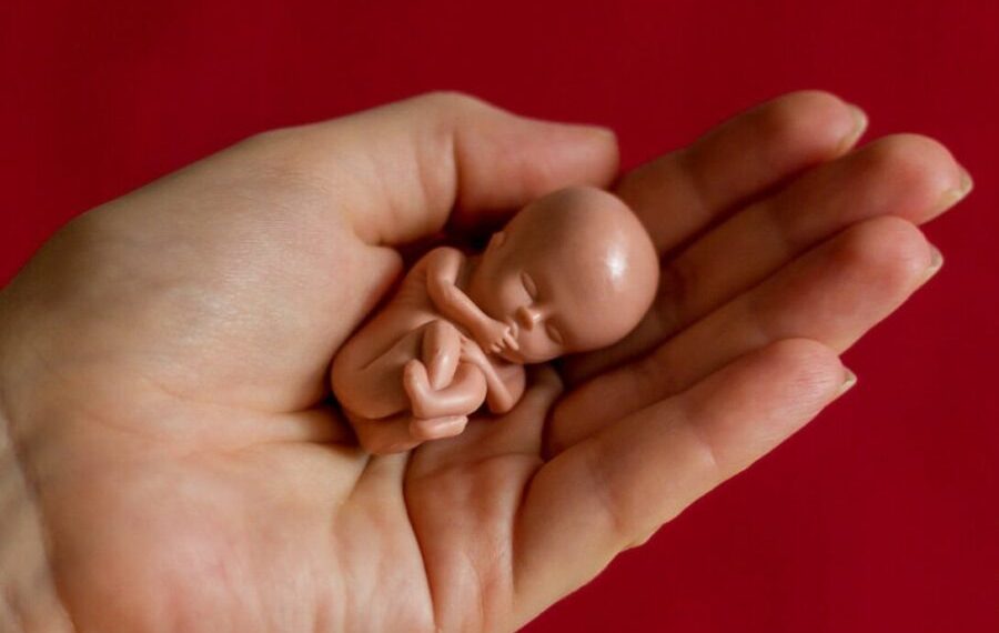 Бойдон түшкөндөн кийин сөзсүз алты ай күтүү зарылбы? Гинеколог жооп берет