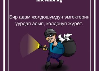 Жолдошумдун эмгектерин уурдап алды