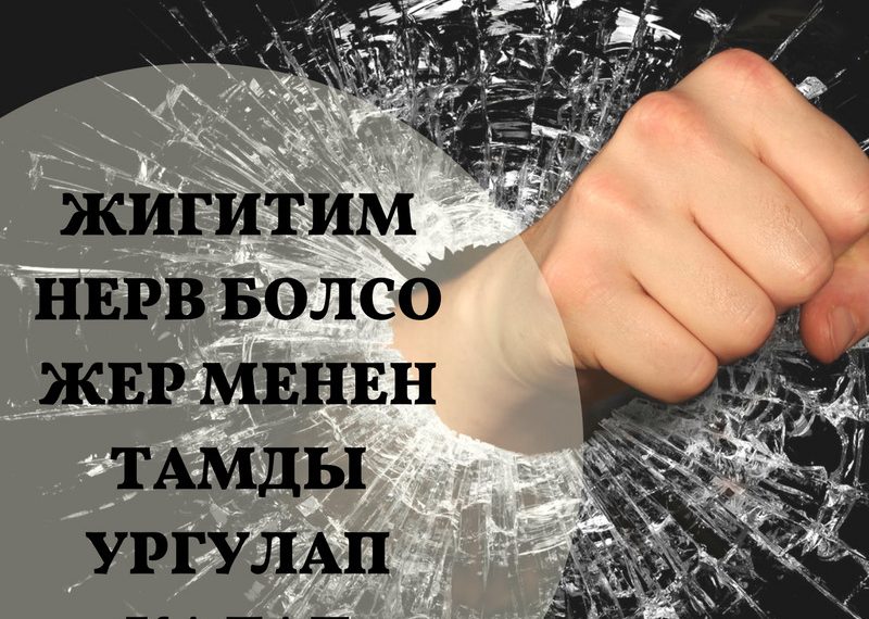 Жигитим нерв болсо жер менен тамды ургулап калат