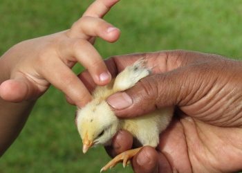 Сиз толеранттуусузбу?