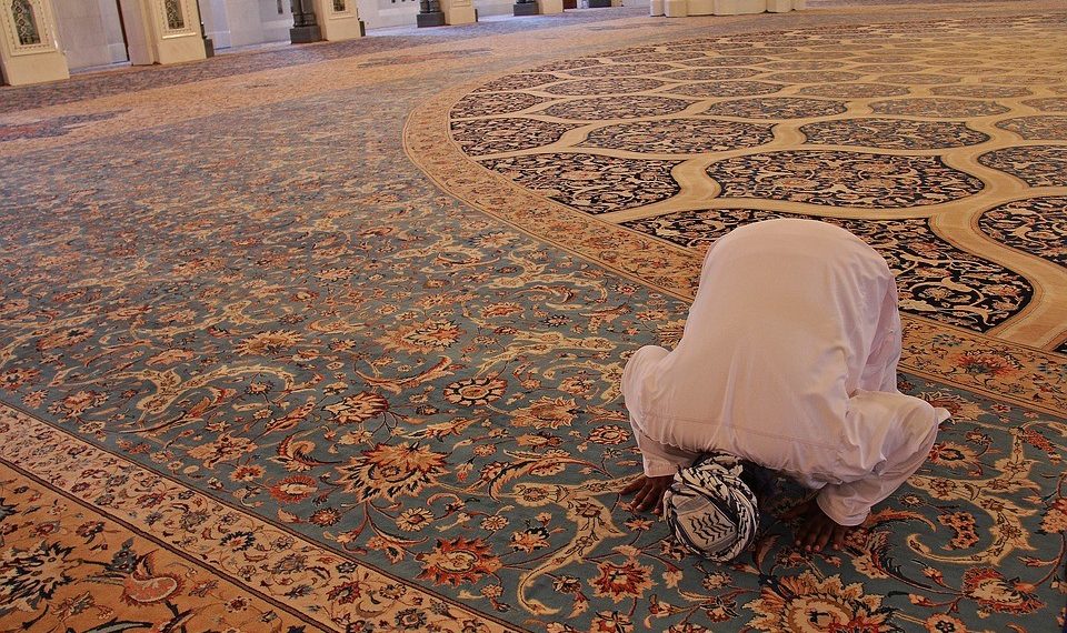 Дин таануучуларга жумуш барбы?