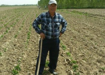 Ийгилик сыры. Магамед аксакал жылына 50 тонна помидор